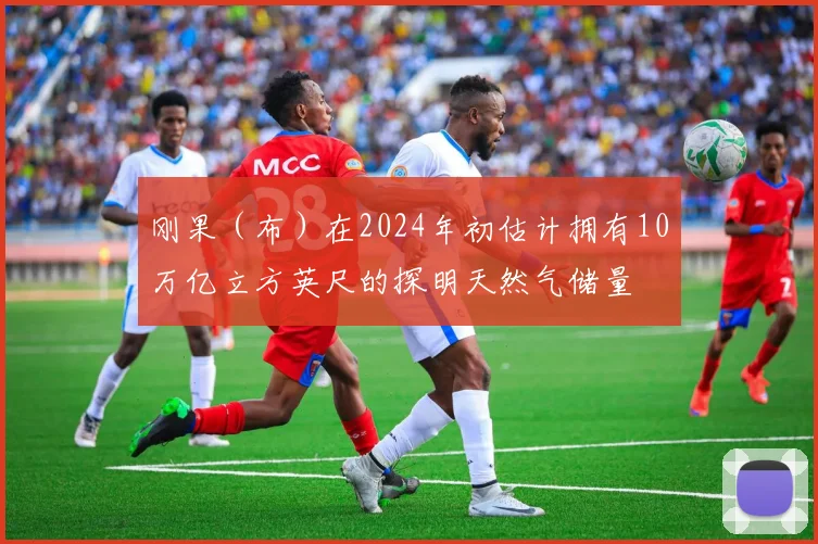 刚果（布）在2024年初估计拥有10万亿立方英尺的探明天然气储量
