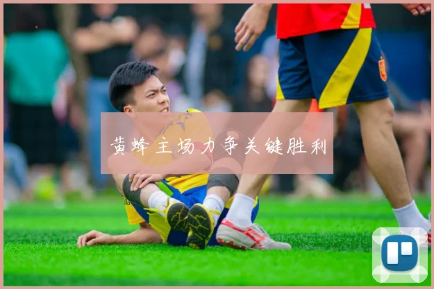 黄蜂主场力争关键胜利