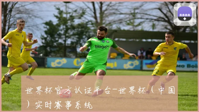 世界杯官方认证平台-世界杯（中国）实时赛事系统