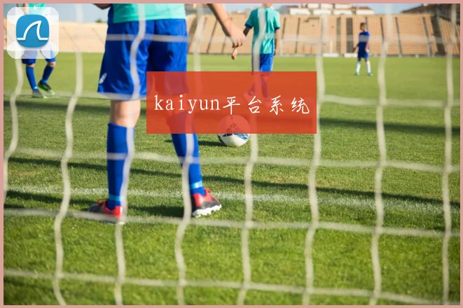 kaiyun平台系统