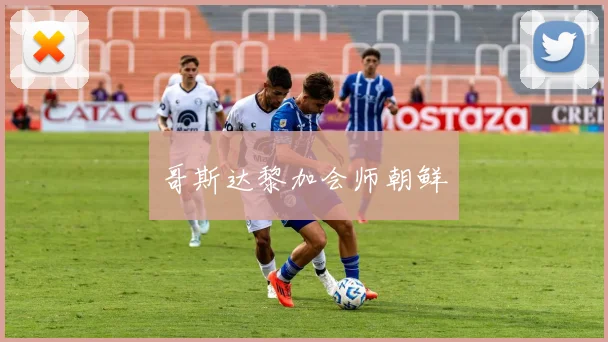 哥斯达黎加会师朝鲜