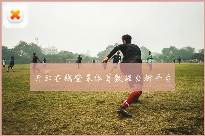 开云在线登录体育数据分析平台