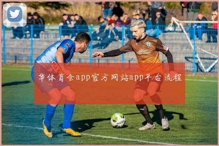 华体育会app官方网站app平台流程