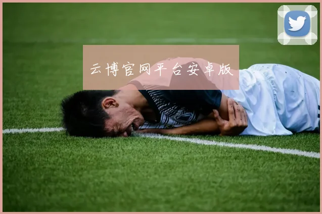 云博官网平台安卓版