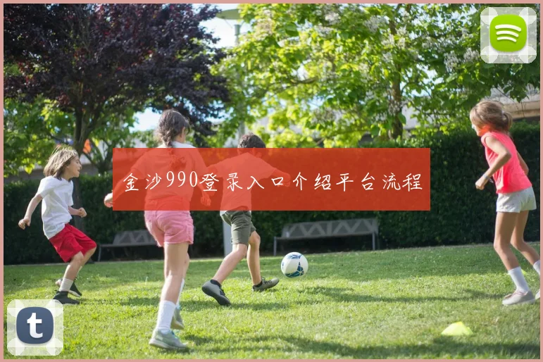 金沙990登录入口介绍平台流程