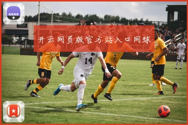 开云网页版官方站入口网球