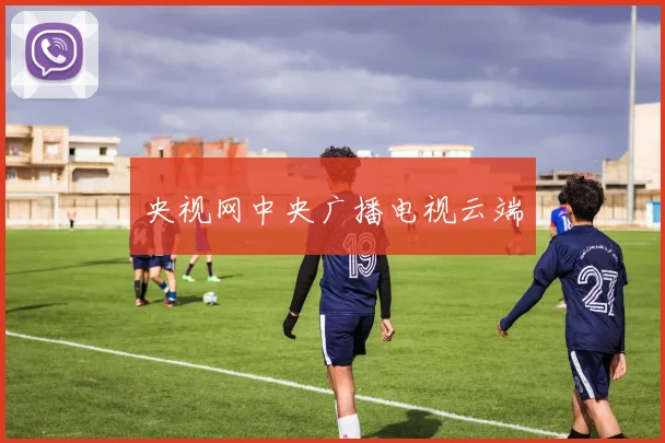 央视网中央广播电视云端