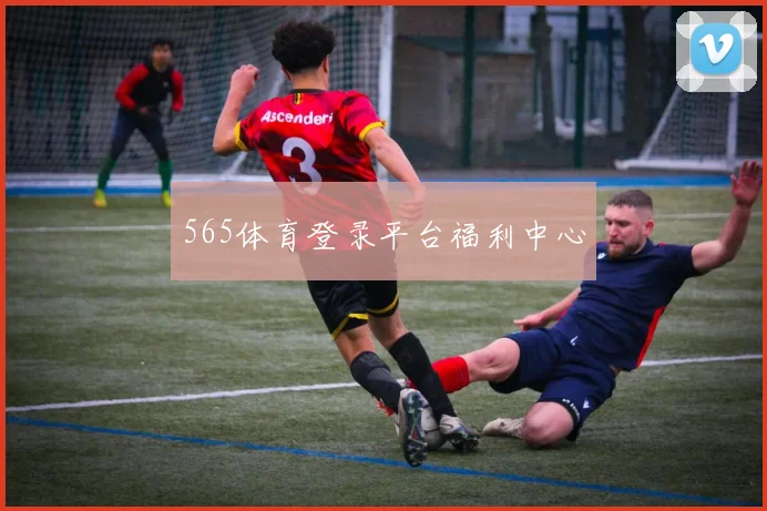 565体育登录平台福利中心
