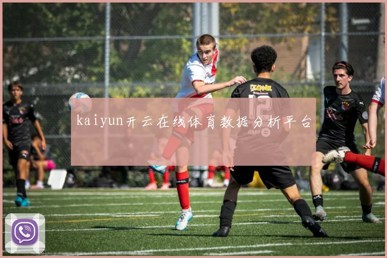 kaiyun开云在线体育数据分析平台