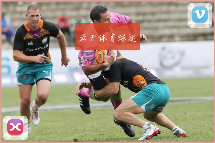 云开体育球迷