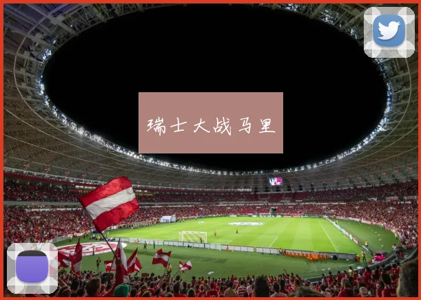 瑞士大战马里
