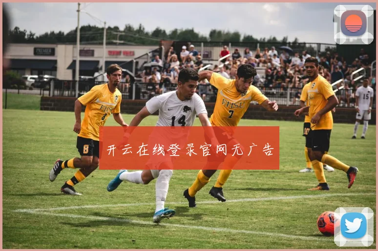 开云在线登录官网无广告