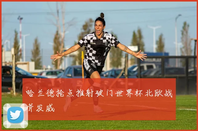 哈兰德抢点推射破门世界杯北欧战斧发威