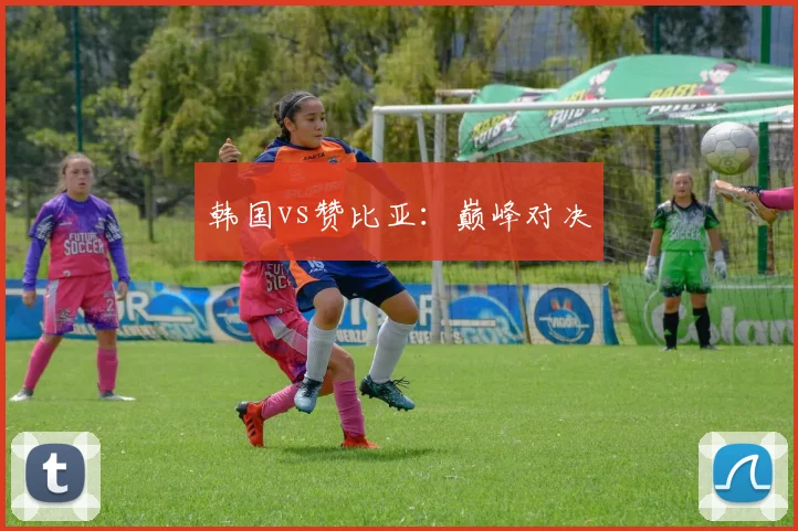 韩国vs赞比亚：巅峰对决