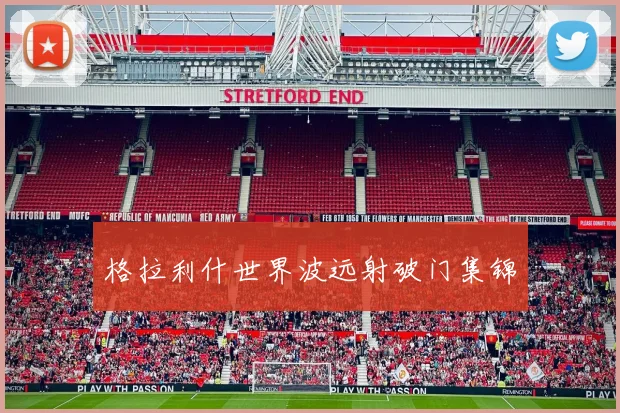 格拉利什世界波远射破门集锦