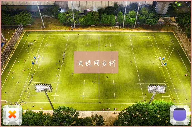 央视网分析