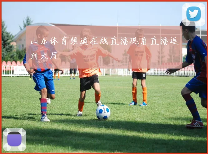 山东体育频道在线直播观看直播返利大厅