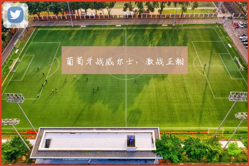 葡萄牙战威尔士，激战正酣