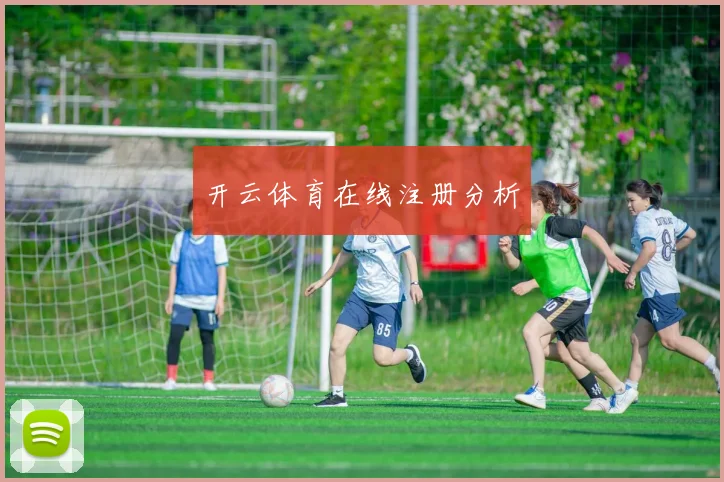 开云体育在线注册分析