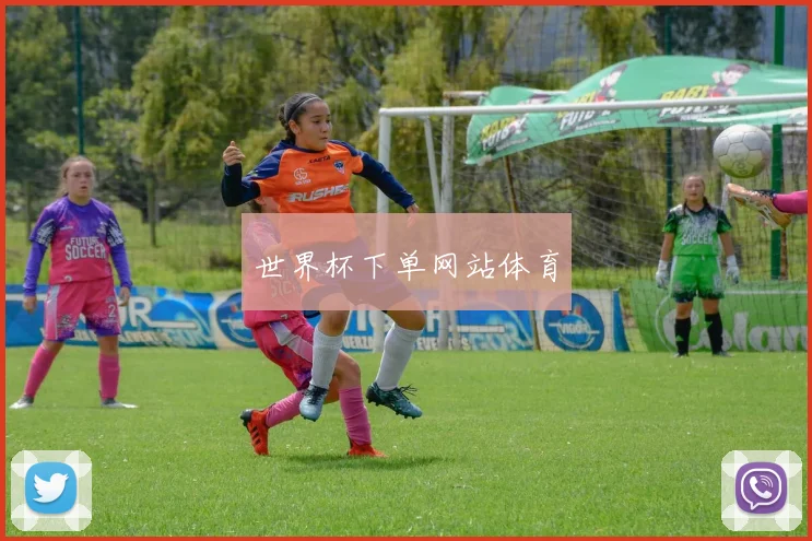 世界杯下单网站体育
