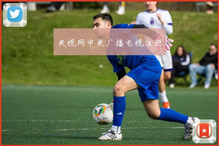 央视网中央广播电视注册