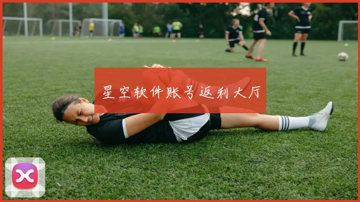 星空软件账号返利大厅
