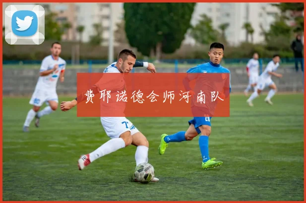 费耶诺德会师河南队