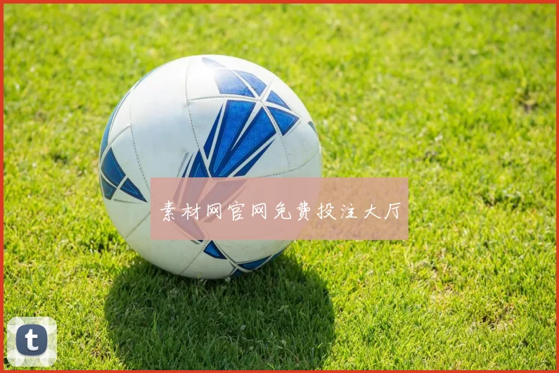 素材网官网免费投注大厅