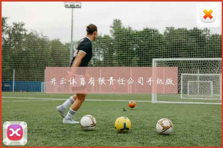 开云体育有限责任公司手机版