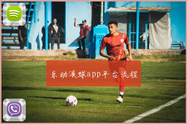 乐动滚球app平台流程
