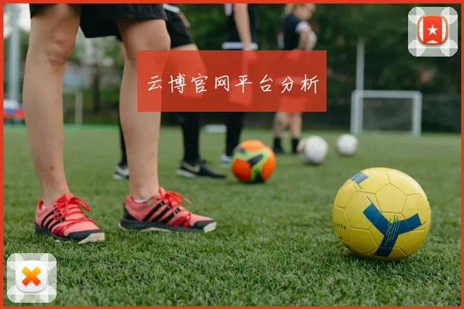云博官网平台分析