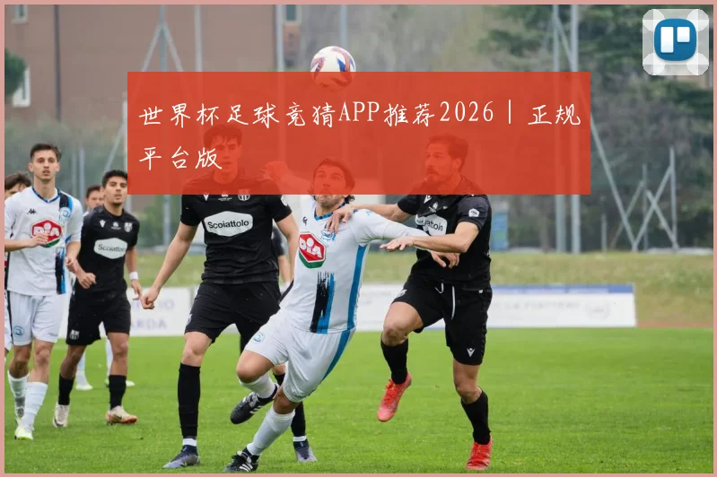 世界杯足球竞猜APP推荐2026｜正规平台版