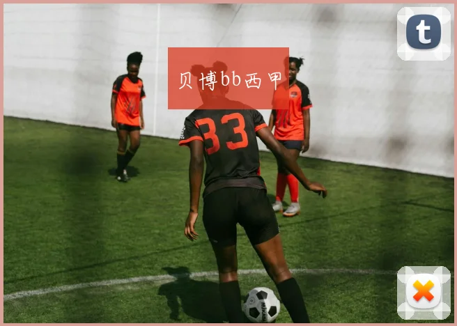 贝博bb西甲