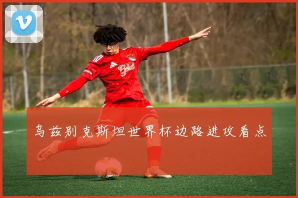 乌兹别克斯坦世界杯边路进攻看点