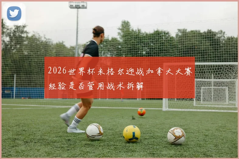 2026世界杯米格尔迎战加拿大大赛经验是否管用战术拆解
