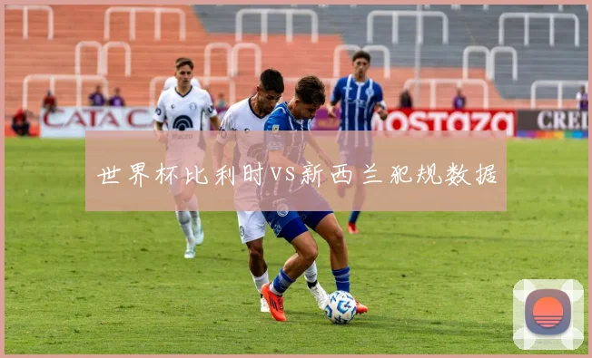 世界杯比利时vs新西兰犯规数据