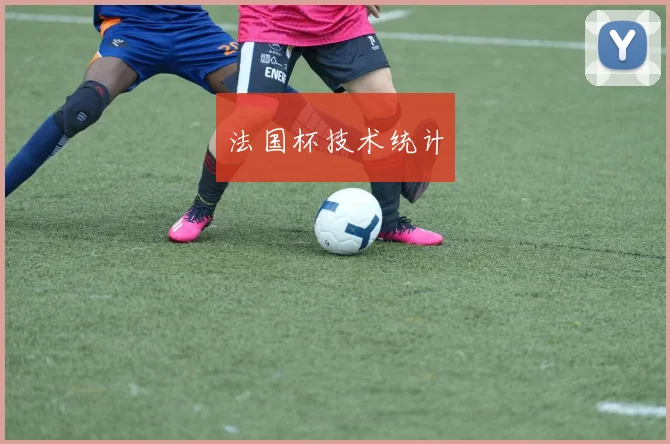 法国杯技术统计